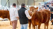 FÊTE AGRI - Le terroir et les paysans célébrés à Rabastens-de-Bigorre